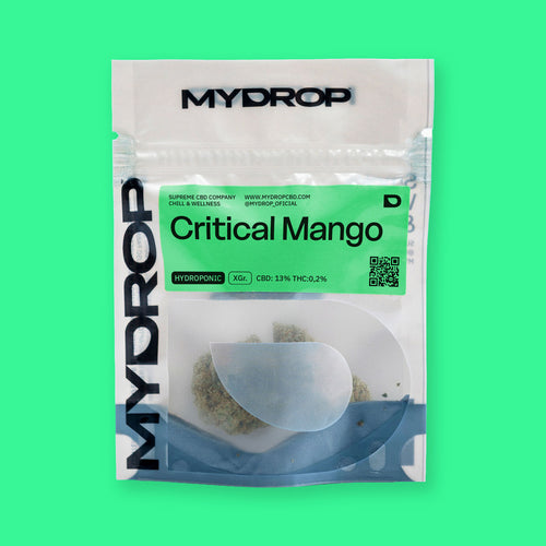 Critical Mango