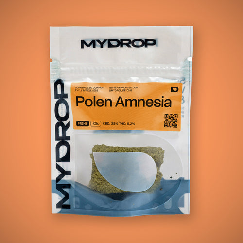 Polen Amnesia