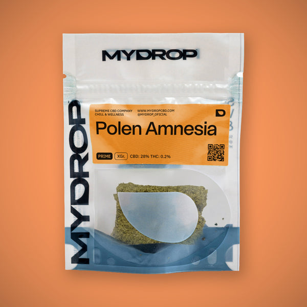 Polen Amnesia