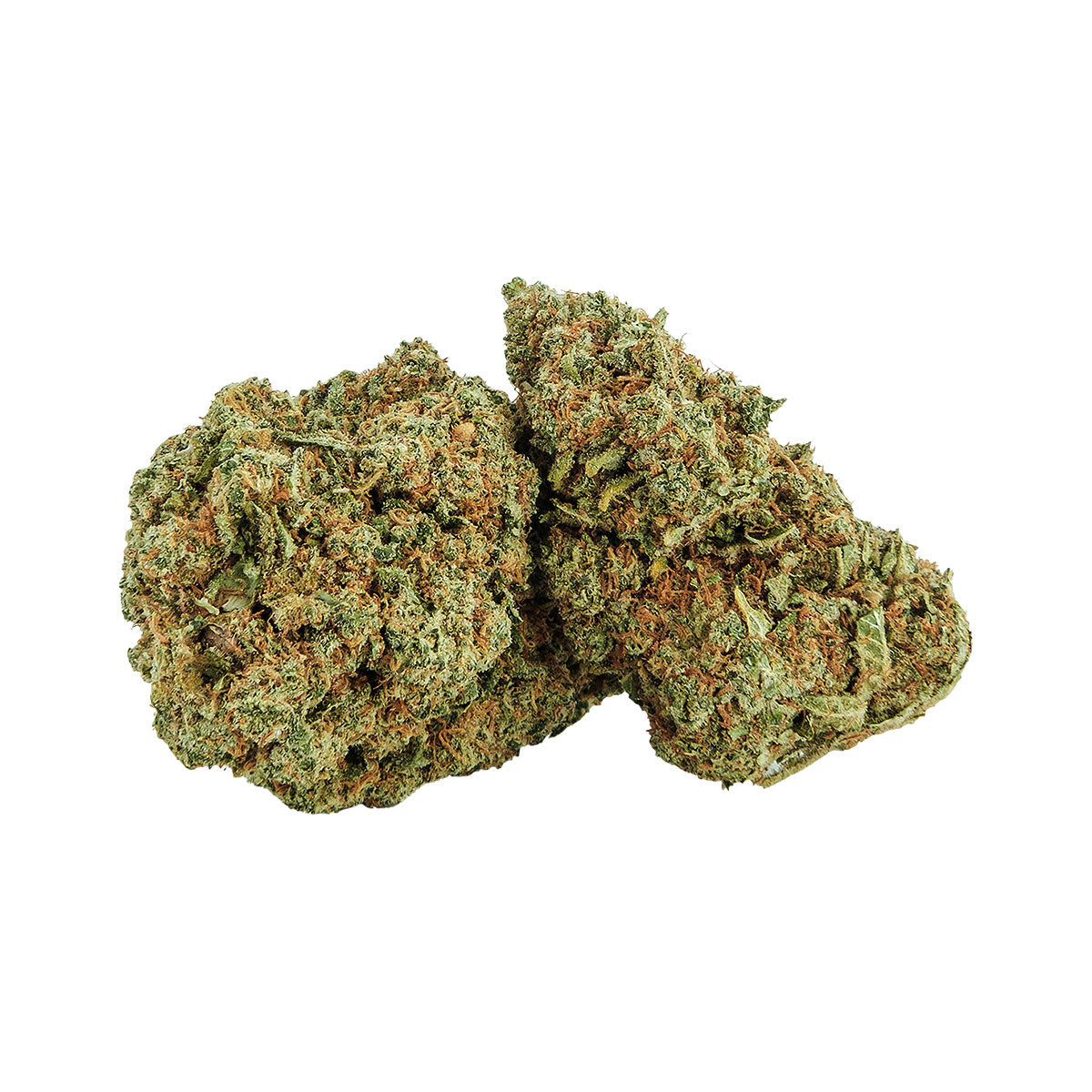 Critical Mango