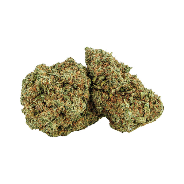 Critical Mango