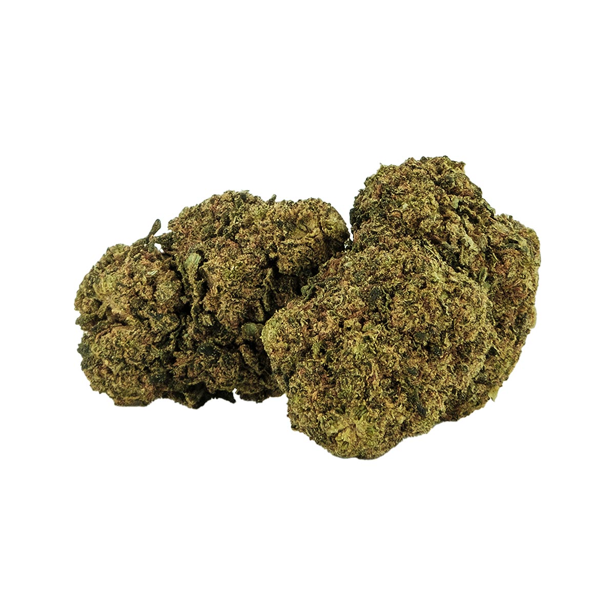 White Widow