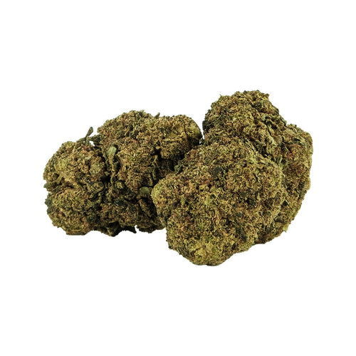 White Widow
