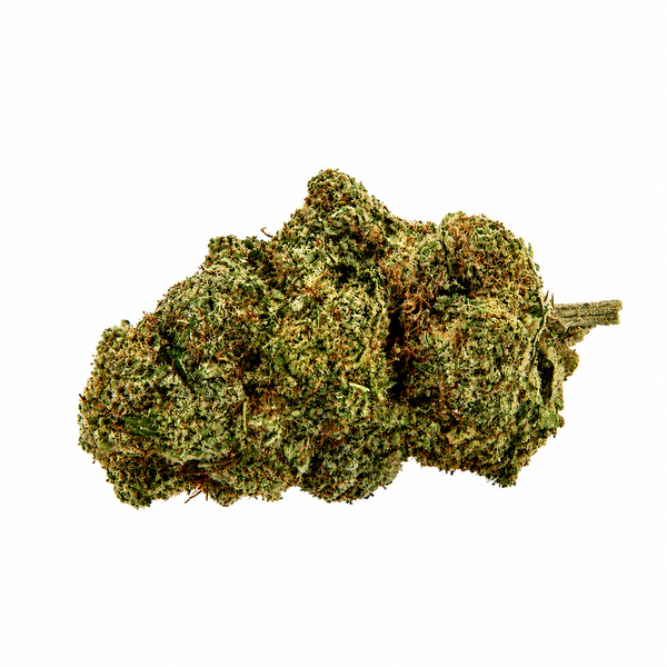 Gorilla Glue Indoor