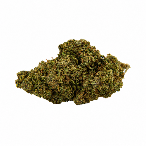 Mimosa Hyro