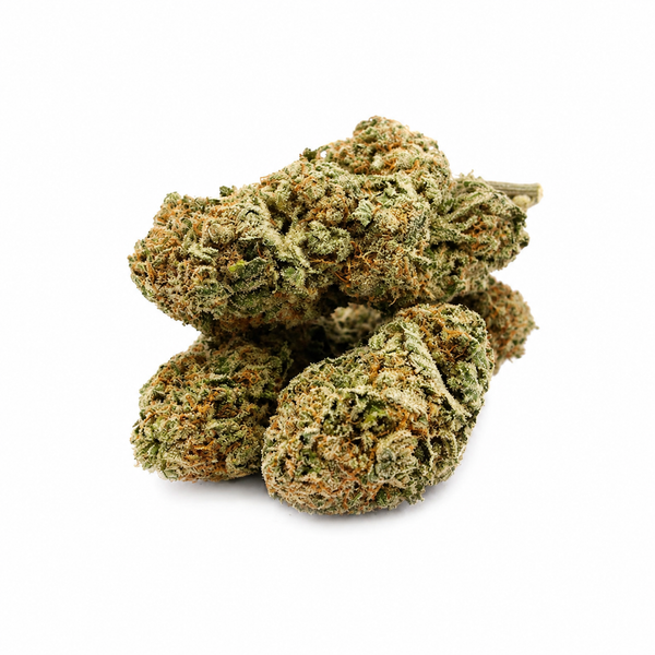 Orange Sherbet