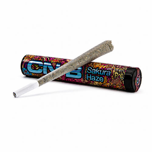 Pre Roll CN-B Sakura Haze